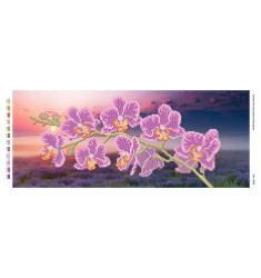 Орхидея 2 ([ПМ 4034])